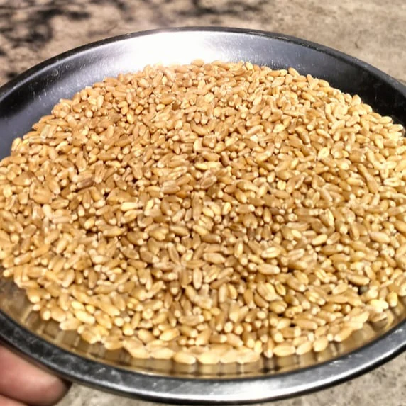 Jeffree Star Cosmetics Velour Liquid Lipstick